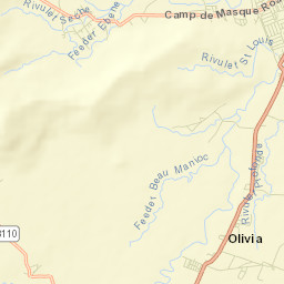 Olivia Street Map