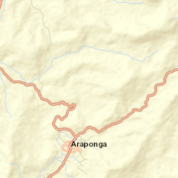 Araponga Street Map