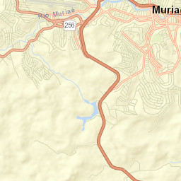 Muriaé Street Map