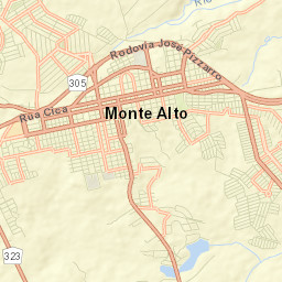 Monte Alto Street Map