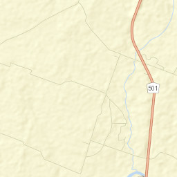 Flora Rica Street Map