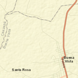 Buena Vista Street Map