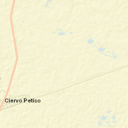 Ciervo Petiso Street Map