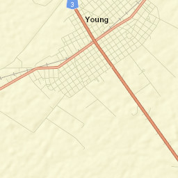 Young Street Map