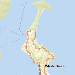 Palm Beach Street Map