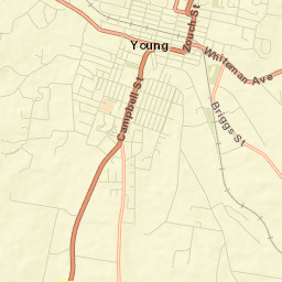 Young Street Map