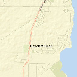 Bayonet Head Street Map