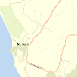 Muriwai Beach Street Map