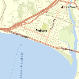 Petone Street Map
