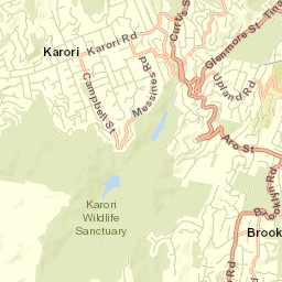Brooklyn Street Map
