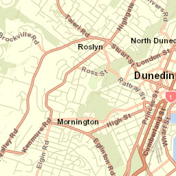 Dunedin Street Map