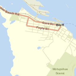 Bluff Street Map