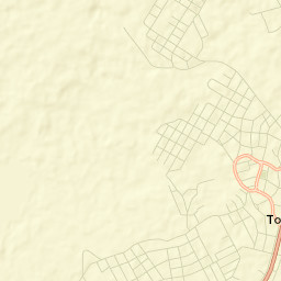 Tolhuin Street Map