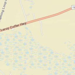 Fleming Loop Road, Fleming, GA 31309, USA Street Map