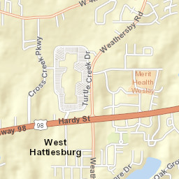 110 Millsaps Dr Hattiesburg MS Street Map