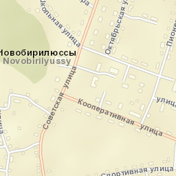Novobirilyussy Street Map