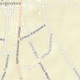 Yurginskoye Street Map