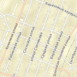 Andreapol’ Street Map