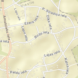 Viesīte Street Map