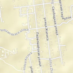 Novosokol’niki Street Map