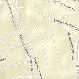 Vyazniki Street Map