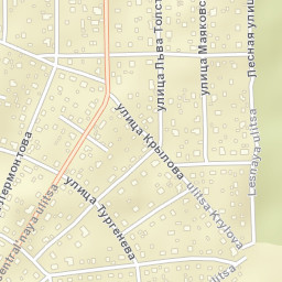 Zelenogradskiy Street Map