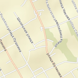Zvenigovo Street Map