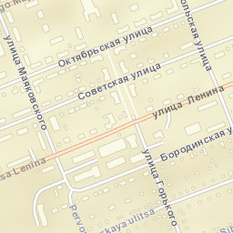 Borodino Street Map