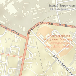 Elektrogorsk Street Map