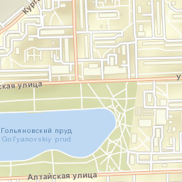 Gol’yanovo Street Map