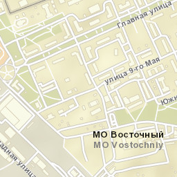 Vostochnyy Street Map