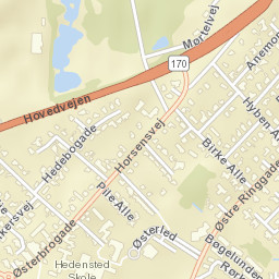 Hedensted Street Map