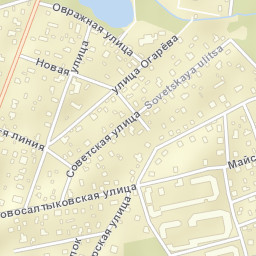 Saltykovka Street Map