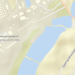 Purshevo Street Map