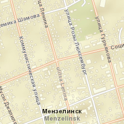 Menzelinsk Street Map