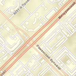 Ramenki Street Map