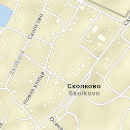Skolkovo Street Map