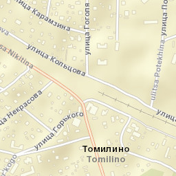 Tomilino Street Map