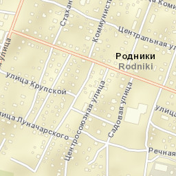 Rodniki Street Map