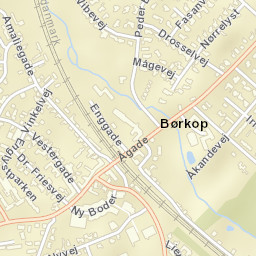 Børkop Street Map