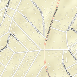 Lesnoy Gorodok Street Map