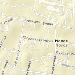 Novoye Street Map