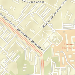 Gorod Nizhnekamsk Street Map