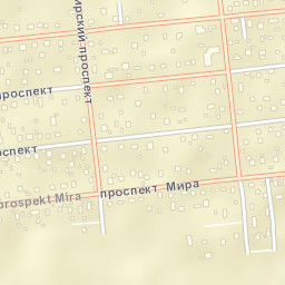 Golitsyno Street Map