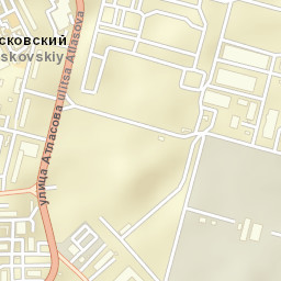 Moskovskiy Street Map