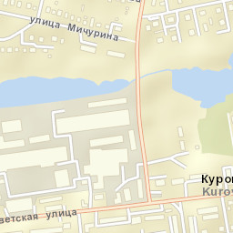 Kurovskoye Street Map