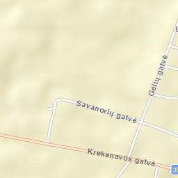 Ramygala Street Map
