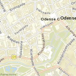 Odense Street Map