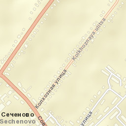 Sechenovo Street Map