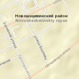 Novosheshminsk Street Map